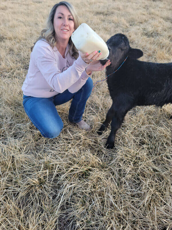 A woman feeding a calf some milk from a bottle